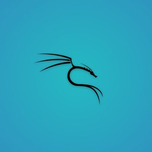 asa's profile picture